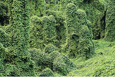 众筹7年 《军团1944》为支持者提供全额退款