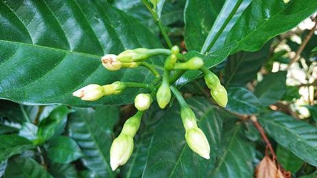 《第三次世界大战》将开启回归A测 仅限老玩家参与